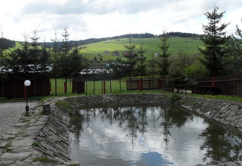 Osrodek Wczasowy Kasztel Hotel Ниджица Замек Екстериор снимка